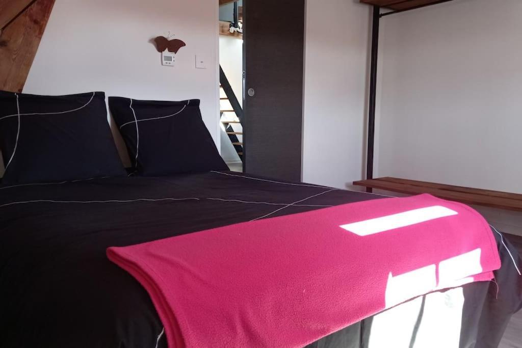 Apartamento Gite La Passerelle Ostheim Exterior foto