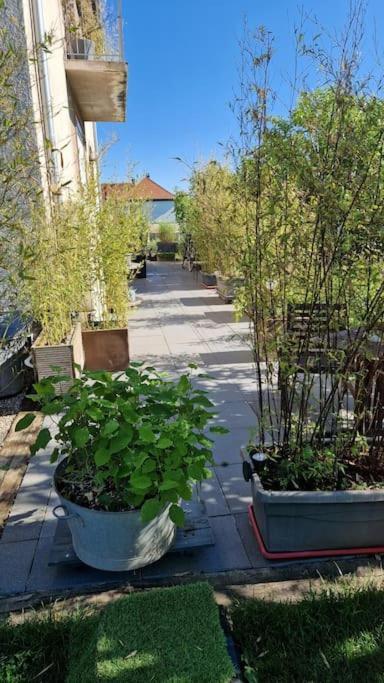 Apartamento Gite La Passerelle Ostheim Exterior foto